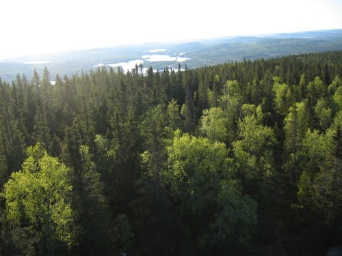 image969