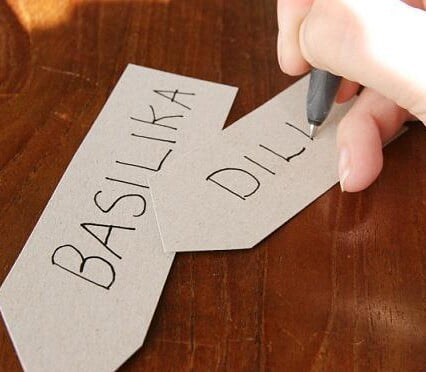 Små odlingsskyltar med kryddors namn som Dill och Basilika.