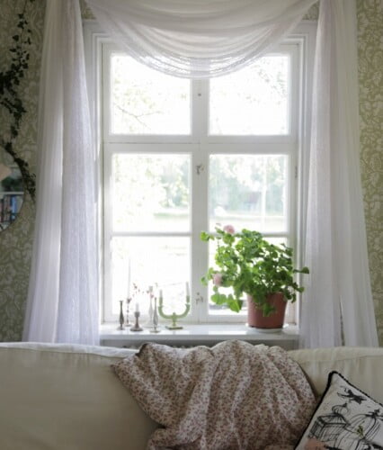 Ljus somrigt fönster med tyllgardin och pelargon med stora frodiga blad.