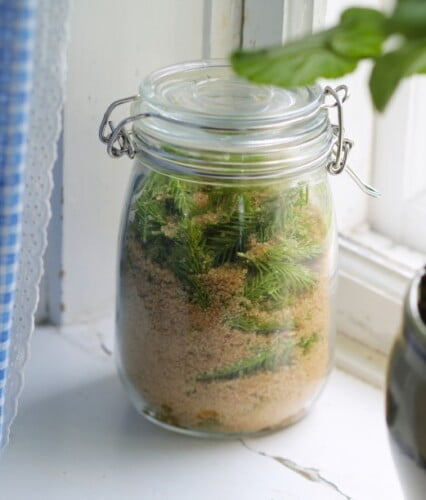 Genomskinlig glasburk står i fönster, fylld med granskott och brunt socker.