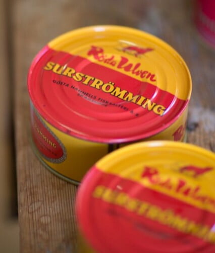 Rödgula plåtburkar med surströmming står oöppnade på träbord.