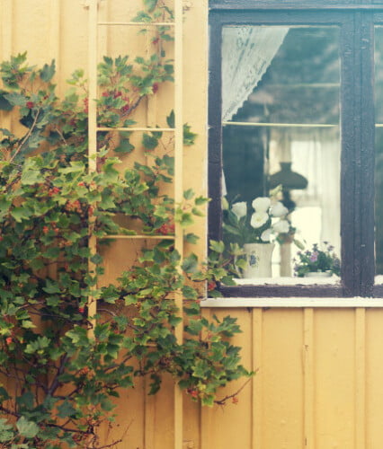 Gult trähus i närbild med sommarfönster och skira gardiner.