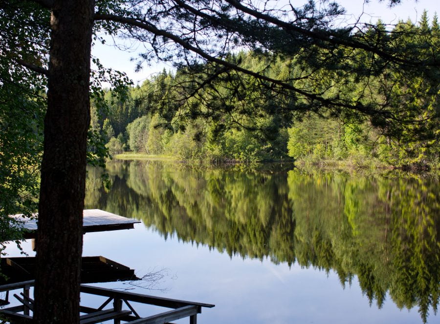 Badplatsen hemma hos Erica, soligt vatten intill skog med en träbrygga som sticker ut över vattnet. Ur En Underbar Pod.