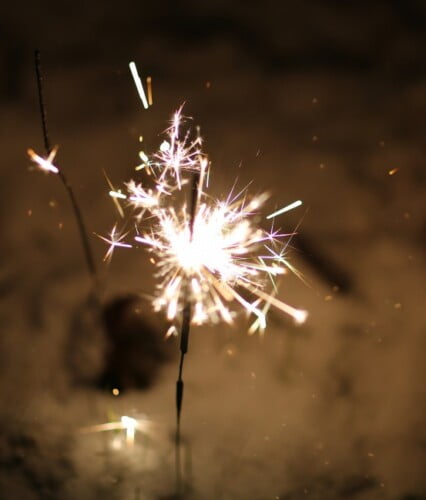 Tomtebloss som brinner i mörkret