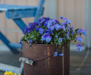Min farstubro och dess fasliga faser - Claras hem & trädgård ...