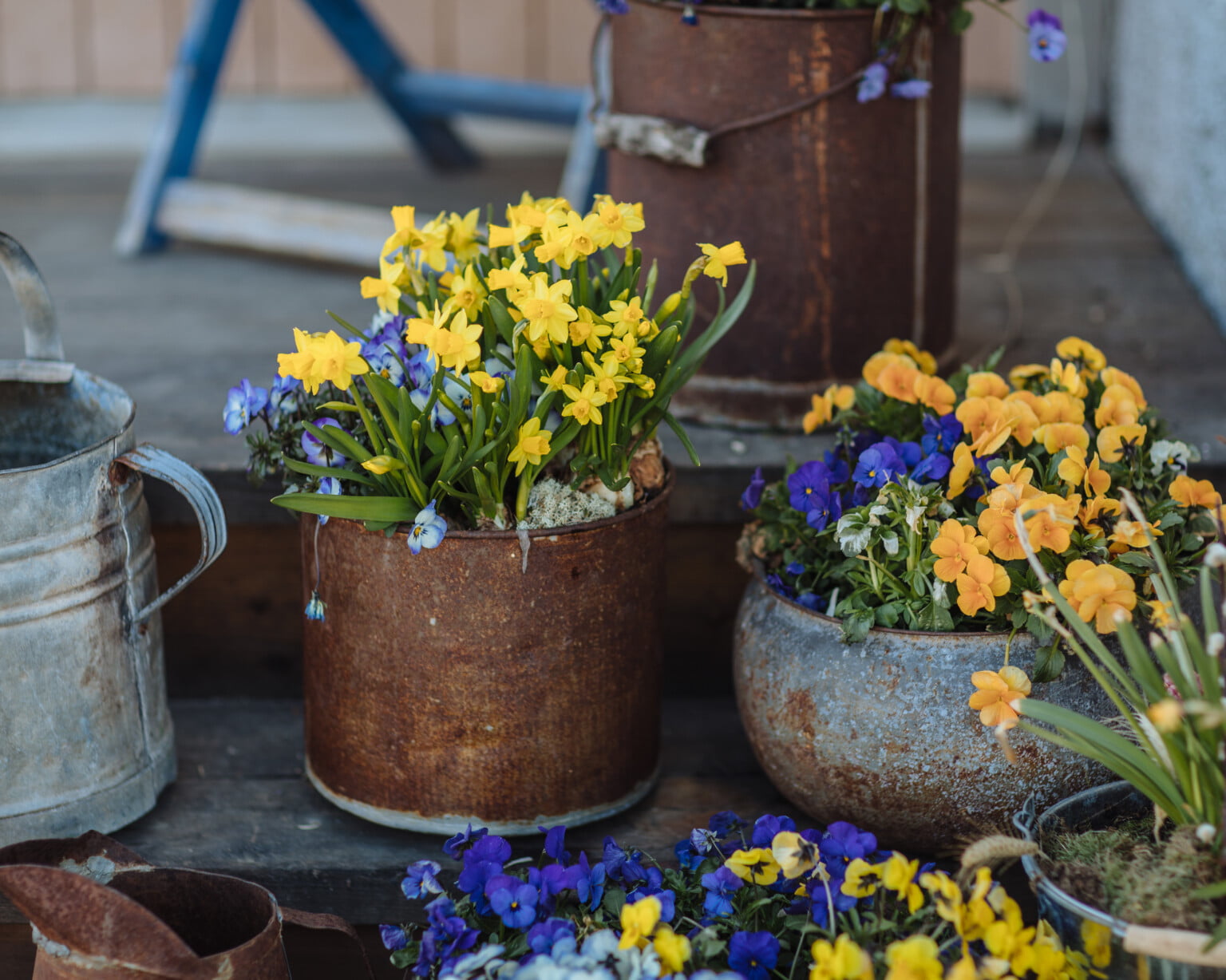 Min farstubro och dess fasliga faser - Claras hem & trädgård ...
