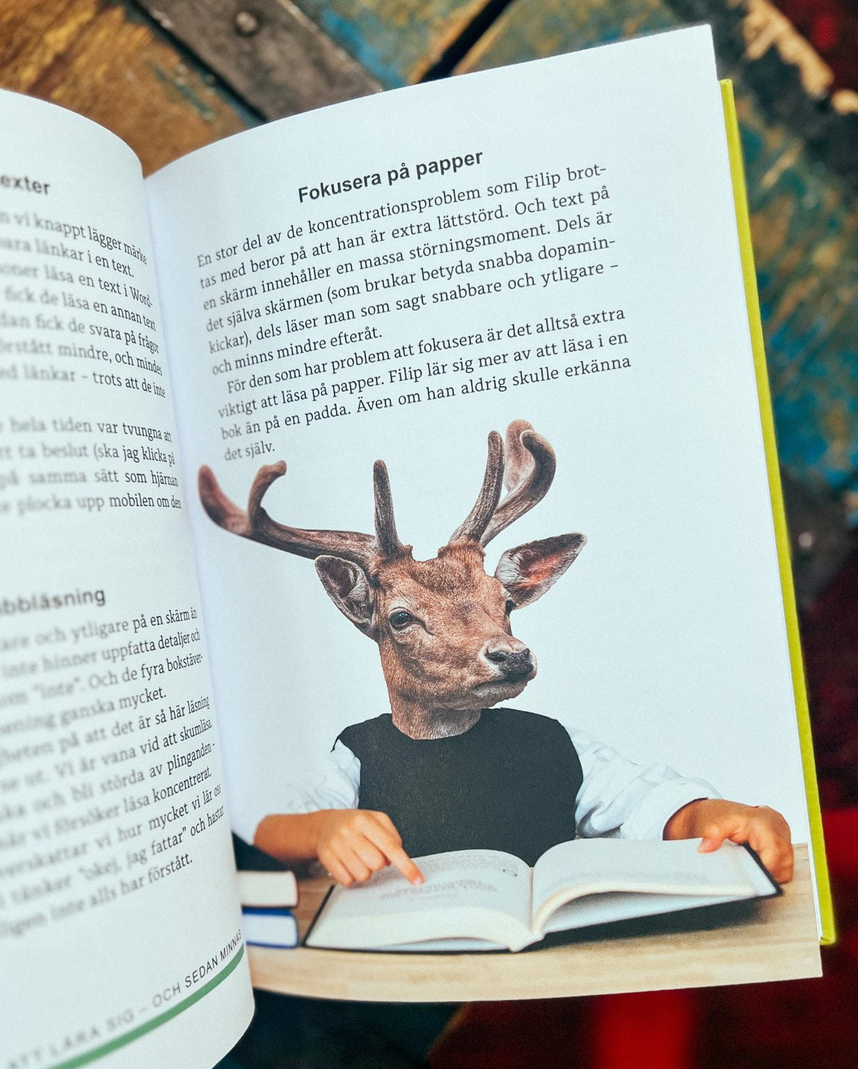 Bli en hjärnstark junior - Claras mammaliv, Claras träning och hälsa ...